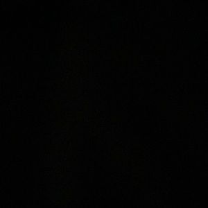 Meet your Posher, Todd